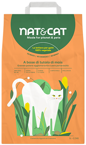 base_tutolo_mais-arancio